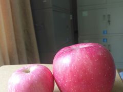 -大信·云顶星河游乐王国