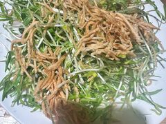 -沈家花园如皋菜(海阳路店)