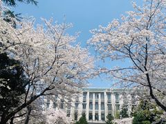 -武汉大学-樱园