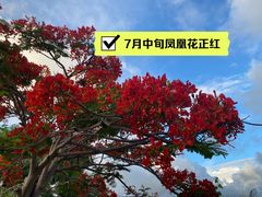 -三亚海韵度假酒店·韵和轩中餐厅