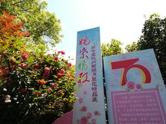 -郭庄茶室
