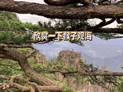 -黄山风景区