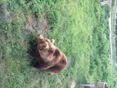 秦岭野生动物园-西安秦岭野生动物园