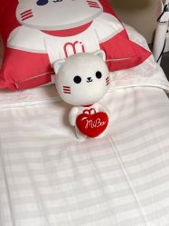 -咪咪专业脱毛连锁机构