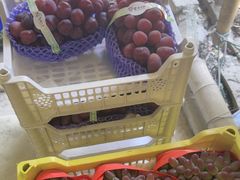 -马陆小张葡萄园农家乐