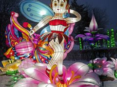 -沈阳奥体冰雪嘉年华