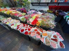 -溪岸路花鸟市场