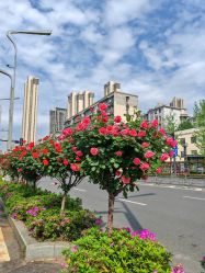 -俏妃·肩颈按摩SPA·塑形·艾灸