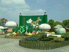 -上海都市菜园