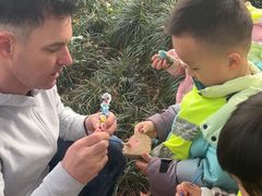 -杭州龙井幼儿园