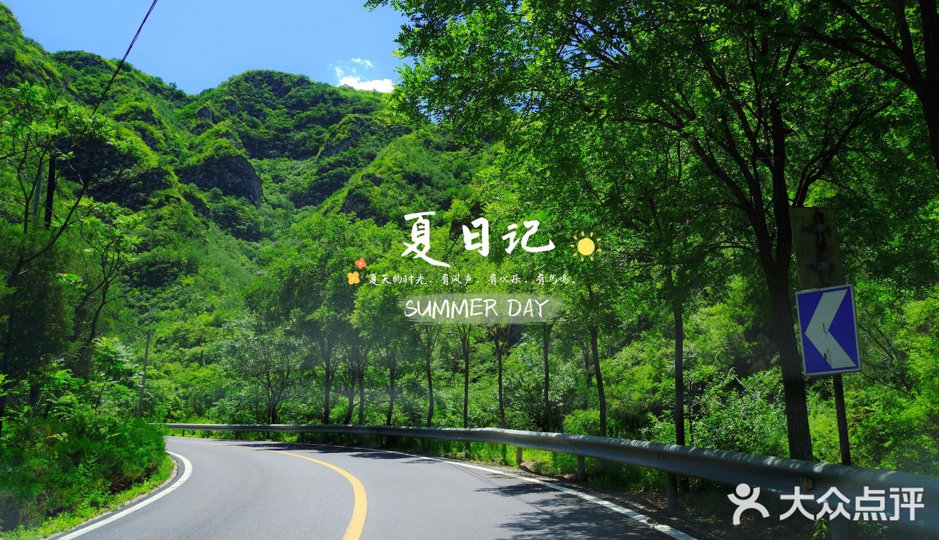 🍃夏日记🍃你爱上温热的空气了吗❓