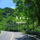🍃夏日记🍃你爱上温热的空气了吗❓