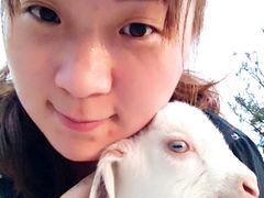 -田园东方蜜桃村的田野营地