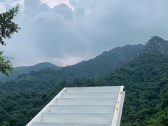 -南丹山森林王国