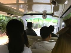 坐电频车-成都大熊猫繁育研究基地