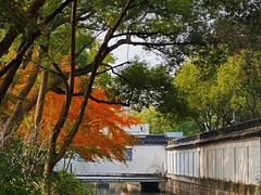 -秋霞圃