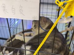 -谜盒子奇幻密室(南屏店)