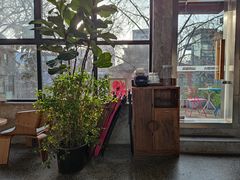 门面-腾爱熊猫咖啡生活馆(老东门店)