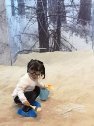 -恐龙探索乐园(磁器口店)