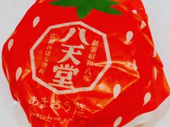 -阪急百货店(梅田总店)