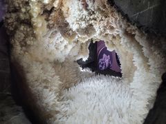 -湖南省地质博物馆