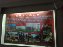 -洛阳古墓博物馆