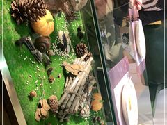 -初拾·花里餐厅(钜城华亿店)