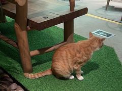 -渔太泰漓江小馆·广西融合菜(西街店)