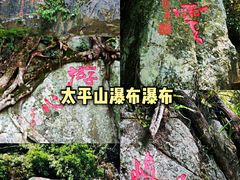 -海南霸王岭国家森林公园