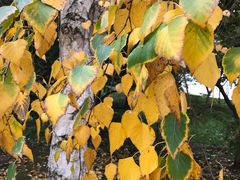 -北京宽沟会议中心