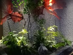 -唐宫足道·SPA·住宿24H会所(木渎店)