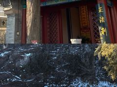 -北京凤凰岭