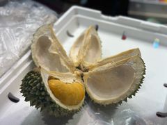 -油麻地果栏