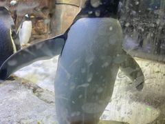 -波塞冬海底世界