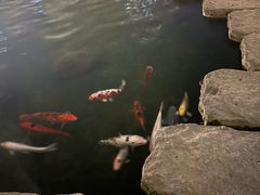 -广州花园酒店
