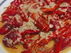 -杨氏青龙虾·羊蝎子(托乐嘉店)