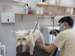 -佐罗家宠物馆·猫文化馆(紫霞路店)