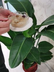 -茜茜美妍堂·华熙生物·甜朵体验中心