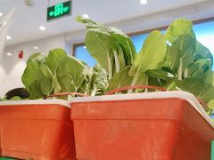 -山东宾馆·齐鲁苑餐厅