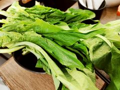 油麦菜-新辣道鱼火锅(世纪金源购物中心店)