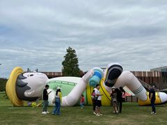 -黄海国家森林公园