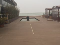 -梧桐餐厅(泉城路店)