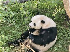 -青藏高原野生动物园