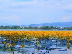 -西昌邛海湿地