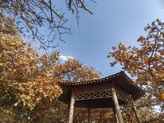-北京十三陵国家森林公园蟒山景区