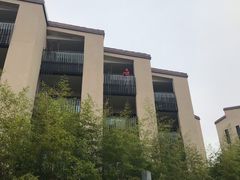 -上海崇明金茂凯悦酒店