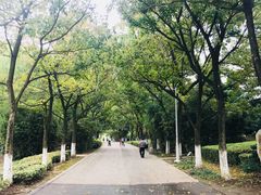 -白塘生态植物园