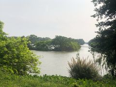 -大湾区中央湿地公园