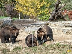 -北京野生动物园