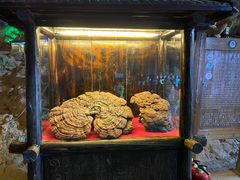 -九乡风景区
